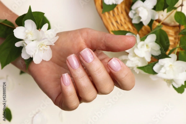 Obraz Classic manicure with a shiny top coat for nails.