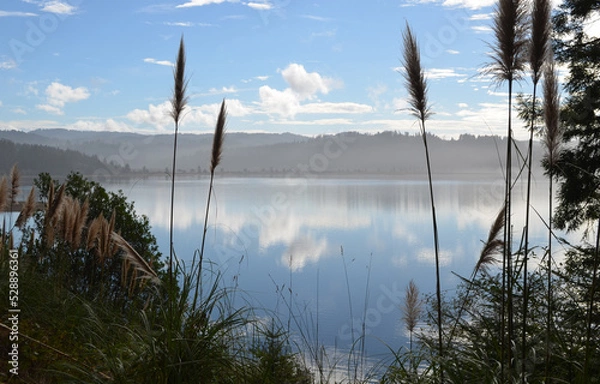 Fototapeta Cloud reflection on lake during summer