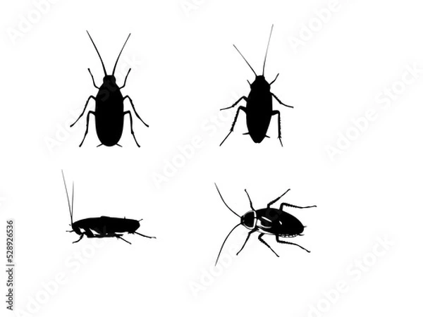 Obraz Vector cockroach stock vector. Illustration of disgusting for Free EPS