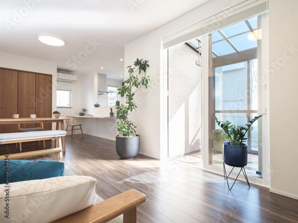 Obraz 白基調の美しい新築住宅の部屋とテラス