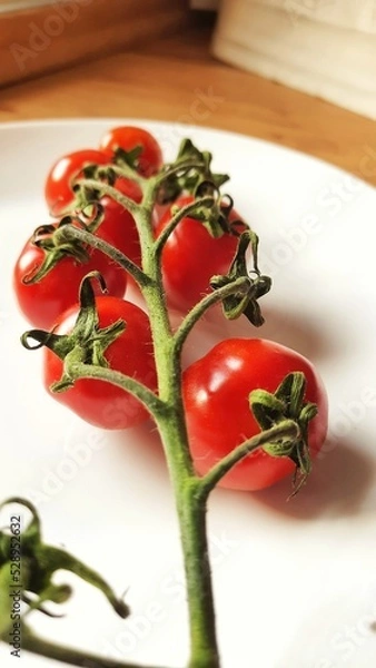 Obraz tomato and basil