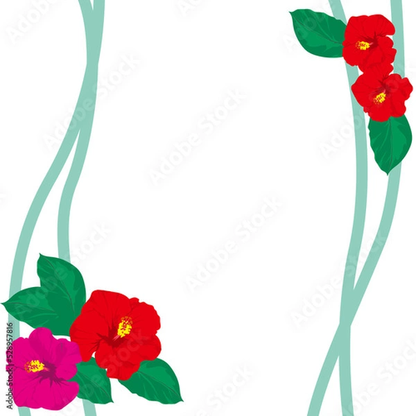Fototapeta ハイビスカスのフレーム