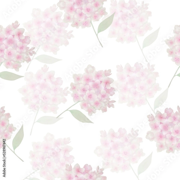 Obraz hydrangea illustration pattern vector floral flowers