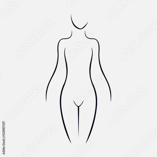 Obraz body anatomy