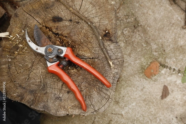 Obraz Pruning shears