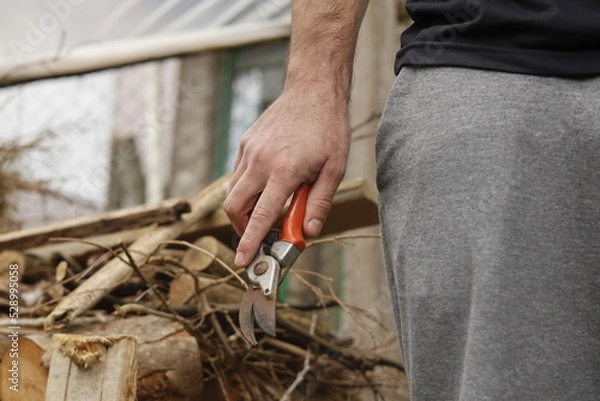 Obraz Pruning shears