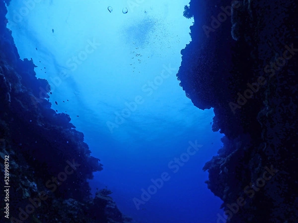 Obraz 石垣島・川平湾沖海底をダイブする
