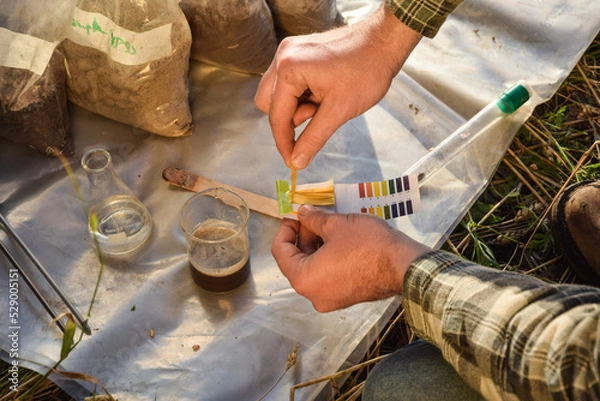 Obraz Closeup of agronomy specialist testing soil sample ph value outdoors, using laboratory equipment, performing soil certification at agricultural grain field sunrise. Environment research.