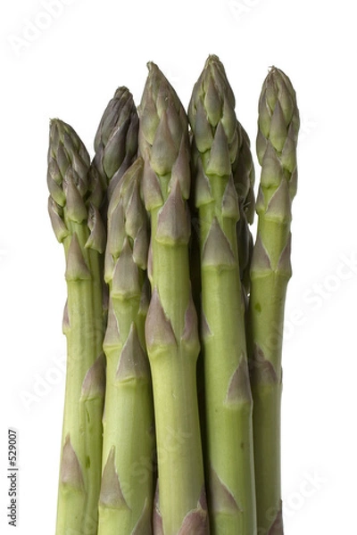 Obraz grüne spargelstangen, freigestellt