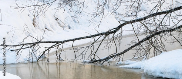 Fototapeta snow covered trees