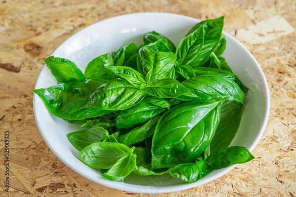 Fototapeta 摘みたてのスイートバジル