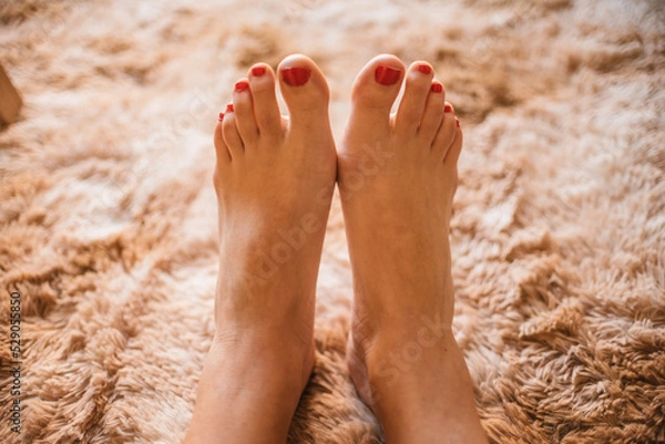 Obraz Pies con uñas rojas