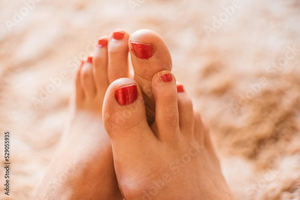 Obraz Pies con uñas rojas