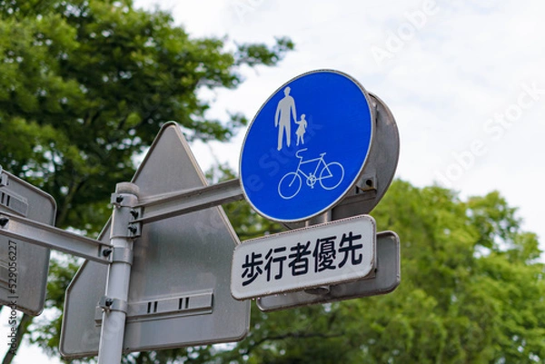 Obraz 【交通標識】自転車及び歩行者専用の規制標識