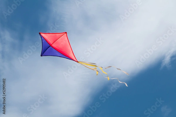 Obraz Kite flying in the sky