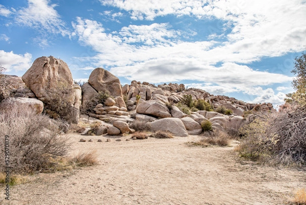 Obraz rocks in the desert