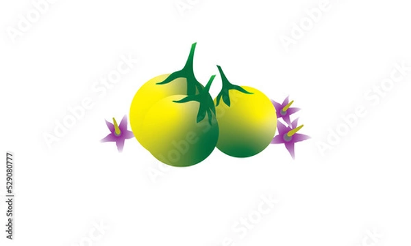 Obraz Green, yellow eggplant. png. file. For use in the food menu.