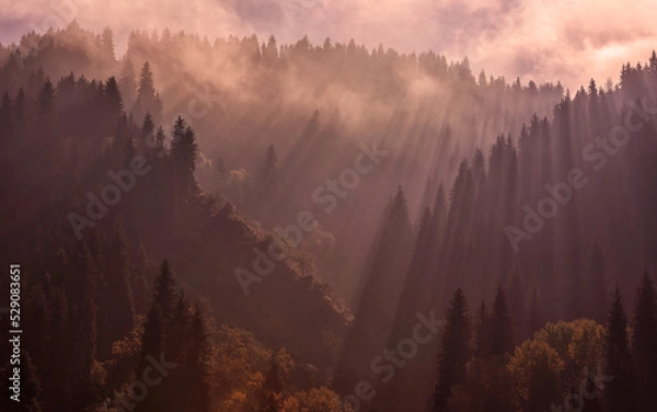 Fototapeta Rays of light and mixed autumn forest in the mountains