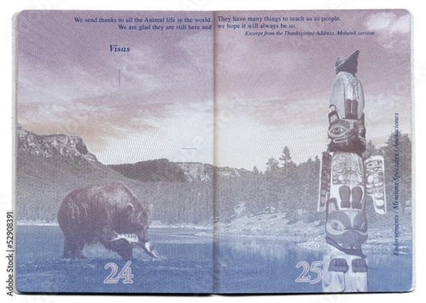 Obraz USA Passport Blank Page