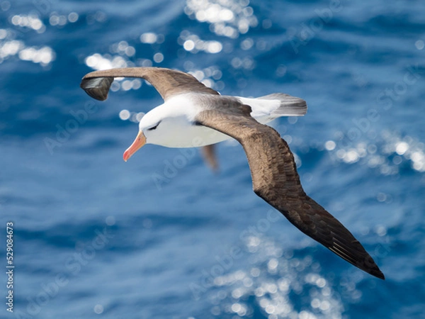 Obraz OLYMPUS DIGITAL CAMERA