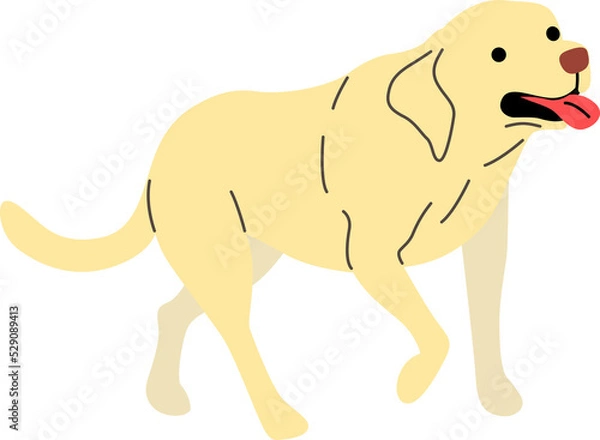 Fototapeta labrador retriever illustration
