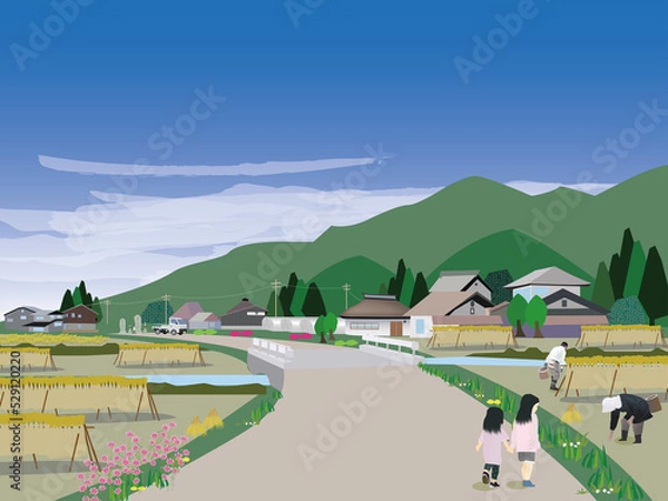 Fototapeta 農村の稲刈り風景