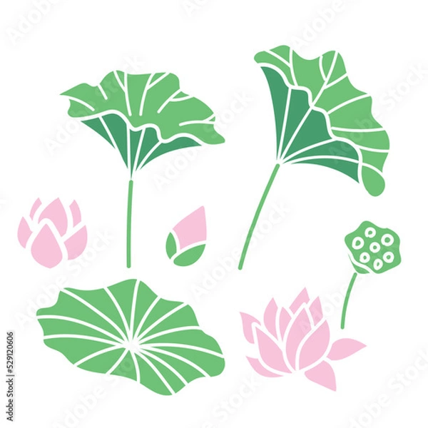 Obraz 蓮のイラスト６