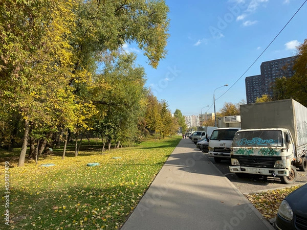 Obraz autumn in park at dry sunny fall day