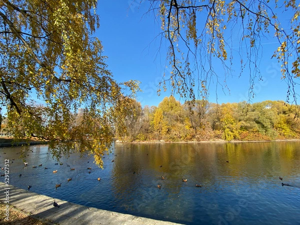 Obraz park in autumn at dry sunny fall day