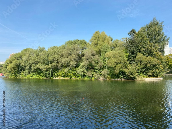 Obraz summer in city park at dry sunny day