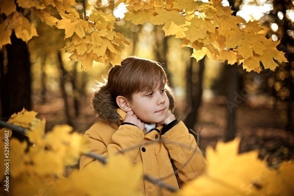 Fototapeta Very smiling boy seven years old in the yellow jacket is standing in the autumn park behind the yellow maple leaves  