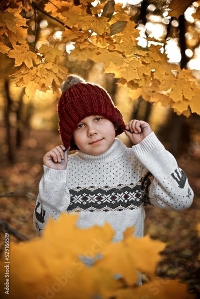 Fototapeta Very smiling boy seven years old in the red wool hat and white sweater is standing in the autumn park behind the yellow maple leaves 
