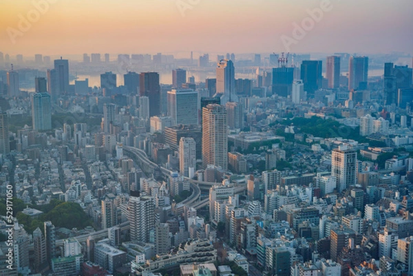 Fototapeta 東京の景色