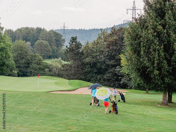 Fototapeta a rainy day on a golf course where golfers walk with umbrellas