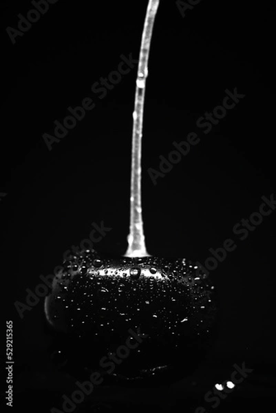 Fototapeta cherry b&w