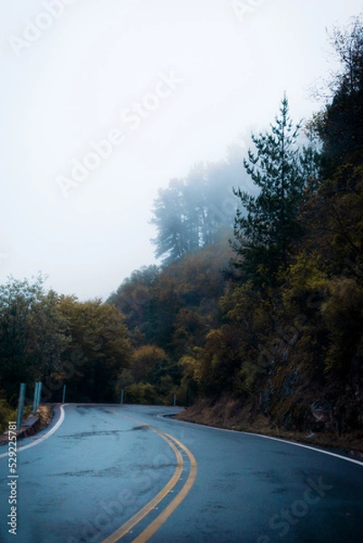 Fototapeta Panorámica vertical de la carretera en una montaña con bosque y árboles por encima con niebla en la ladera bajando a la calle en época de otoño e invierno