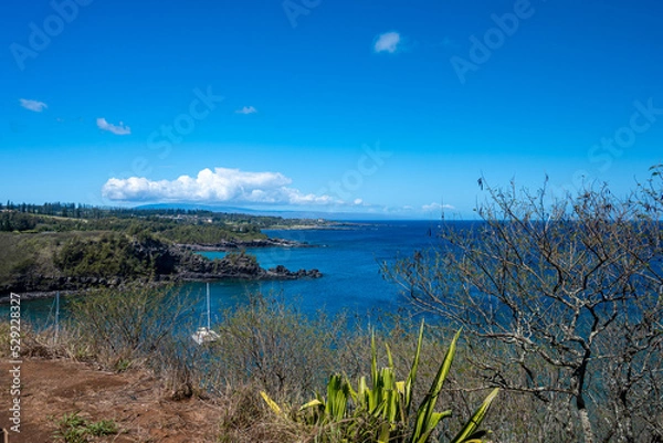 Obraz Maui Coastline