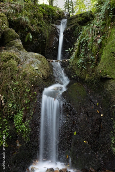 Obraz Altersbacher Wasserfall an der Kandelstraße in der Nähe von Waldkirch im Schwarzwald