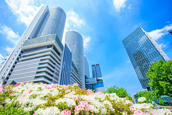 Fototapeta 名古屋市　名古屋駅前の高層ビル群と満開のツツジの花