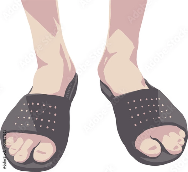 Obraz サンダルを履く足のベクターイラスト2