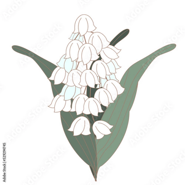 Obraz El salvador flor