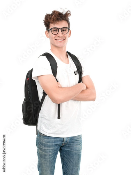 Obraz Satisfied young student posing