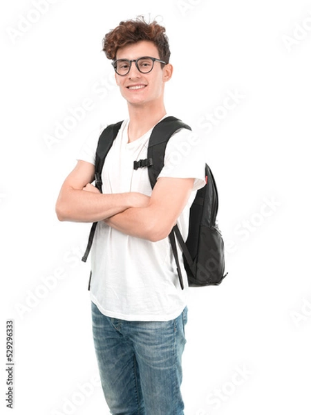 Obraz Satisfied young student posing