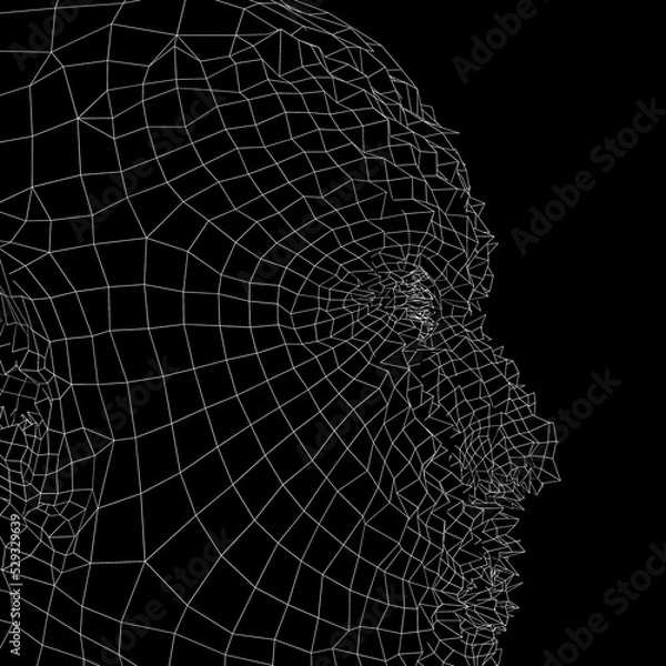 Obraz Abstract mannequin head wireframe 3D Illustration