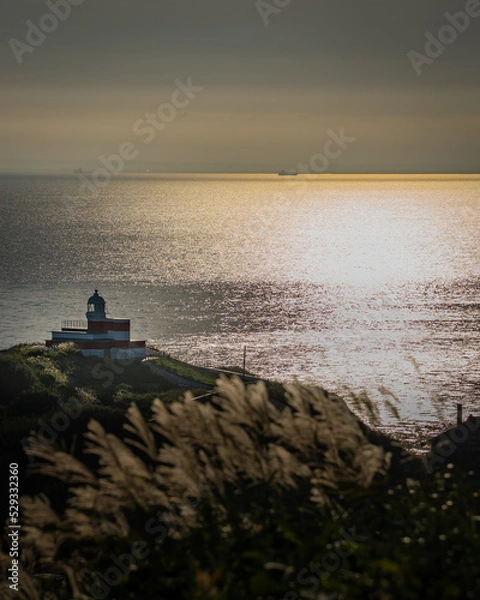 Obraz boat at sunset