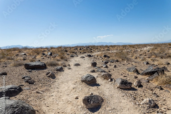 Obraz Nevada Terrain