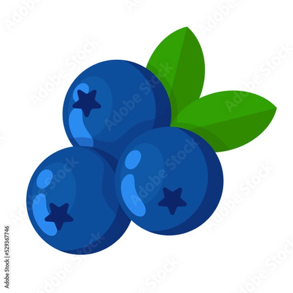 Obraz blueberry flat vector illustration bilberry logo icon clipart