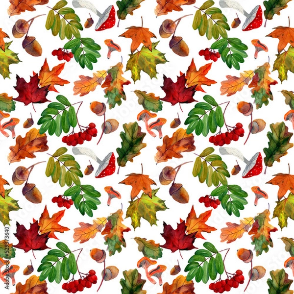 Fototapeta Watercolor hand drawn seamless pattern with autumn red rowan, yellow maple foliage, oak leaves, acorns on white background. Design for textile, packaging, season decor, background. Fabric template.