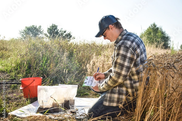 Obraz Male agronomist preparing soil samples in sample bags for laboratory analysis, writing in information sheet outdoors at sunrise. Man farmer taking notes in form, working at field. Soil certification
