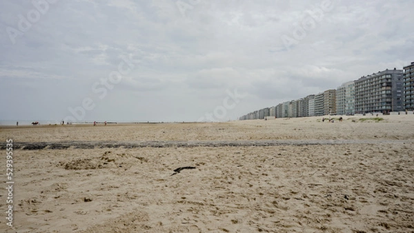 Obraz moi scout 2022
